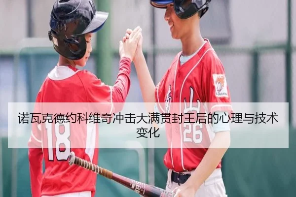 诺瓦克德约科维奇冲击大满贯封王后的心理与技术变化（bbsports）